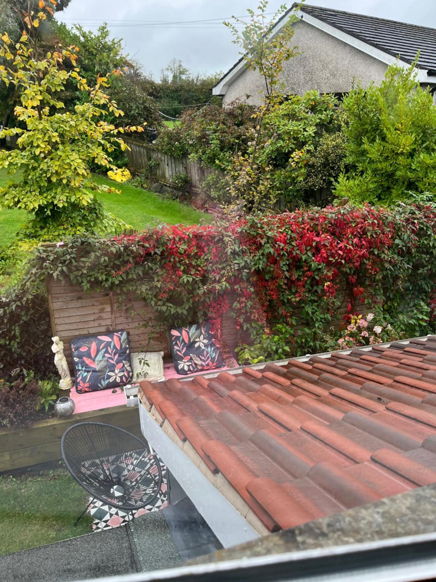 Overdale Motel Lisburn Luaran gambar